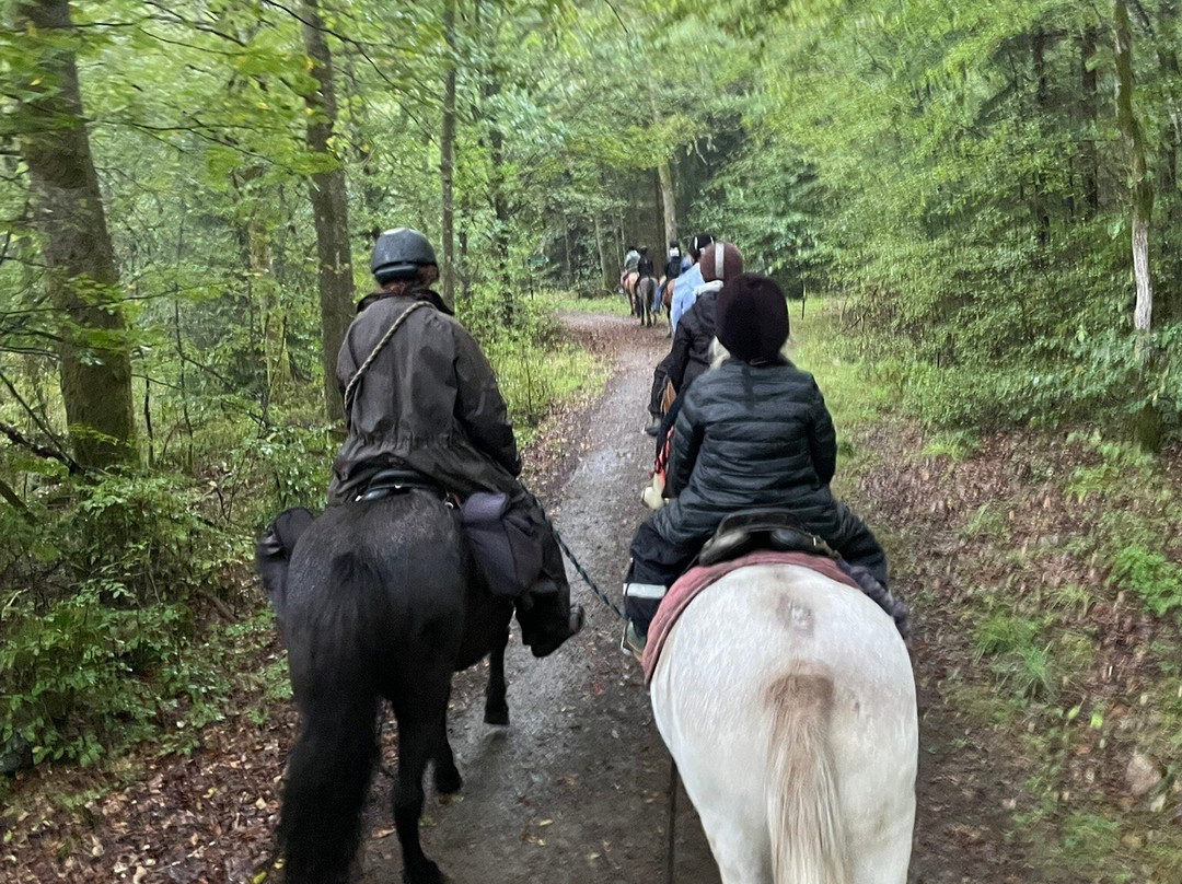 Aspås Turridning I Fulltofta-Horby必去景点