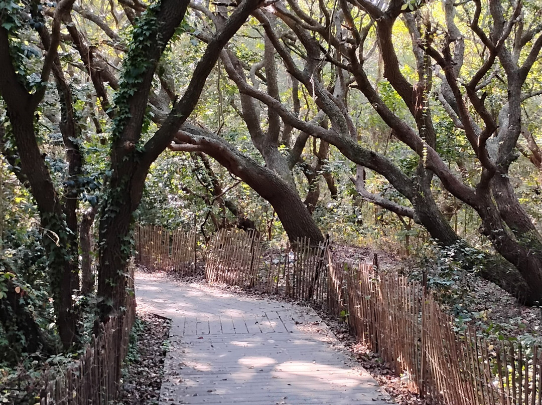 弗吉尼亚海滩-弗吉尼亚海滩必去景点