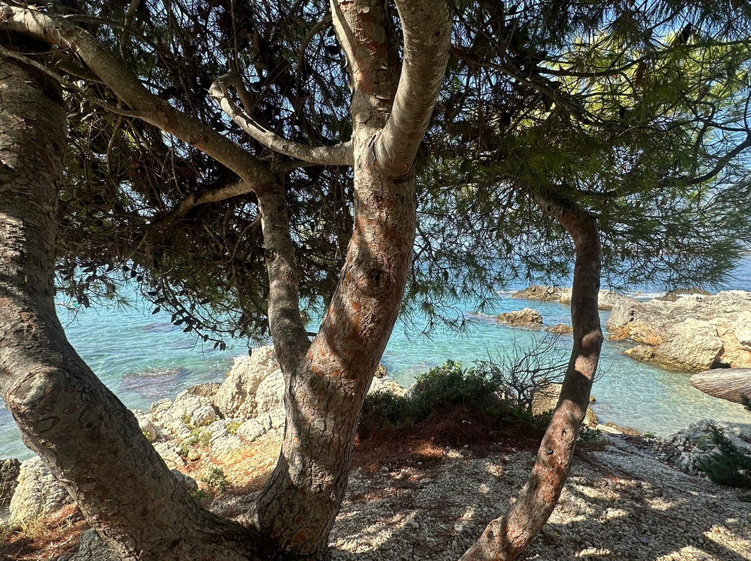 Gradakia Beach-Lassi必去景点