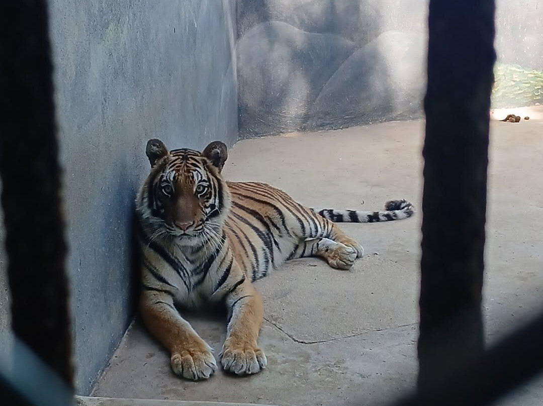 Zoologico de Vallarta-Mismaloya必去景点