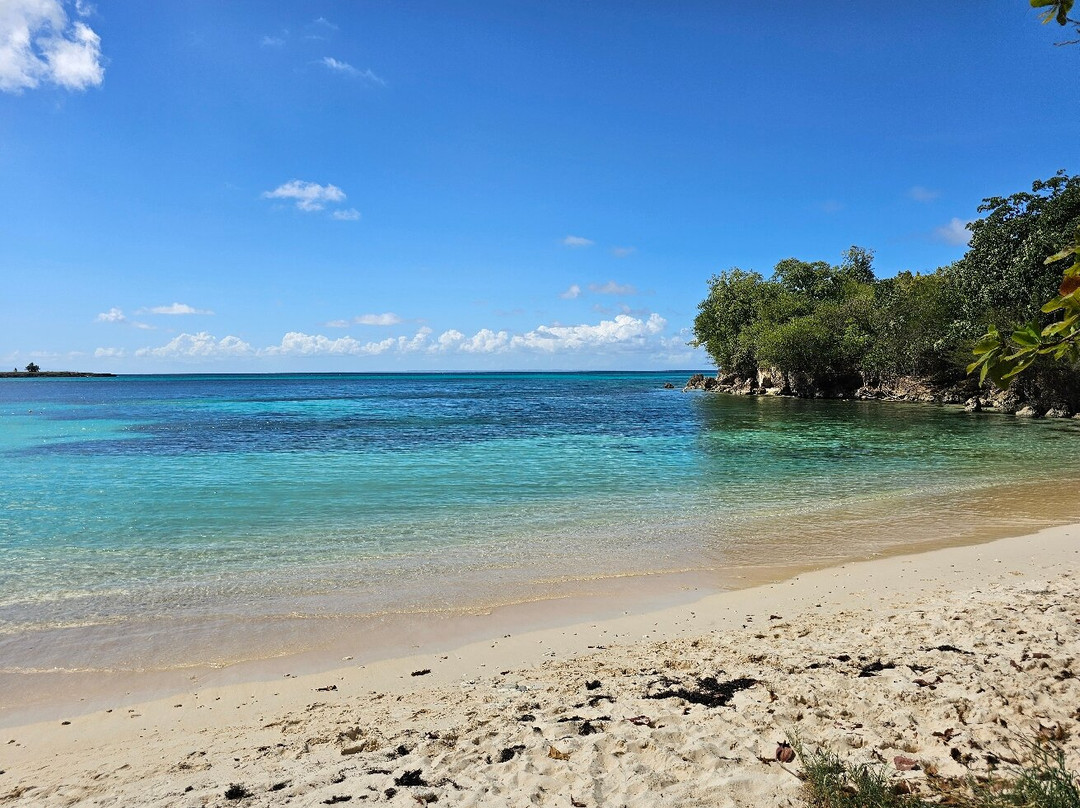 Anse Canot-Marie-Galante必去景点