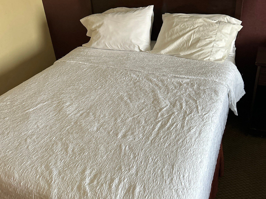 Hampton Inn & Suites Lawton主图