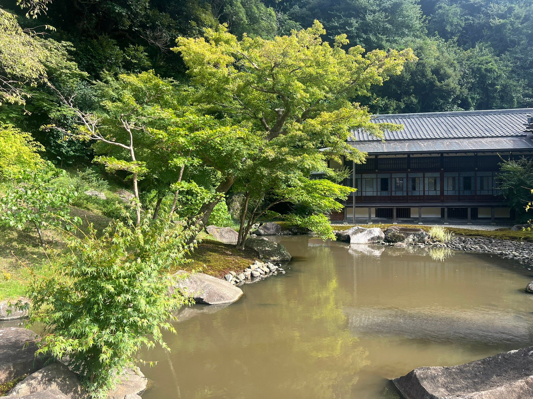 Japan Wonder Travel-Tsukiji必去景点
