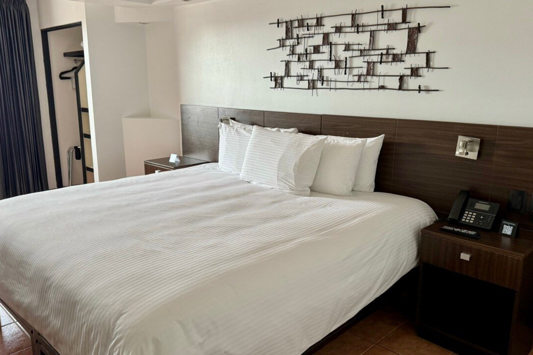 Hotel Presidente主图