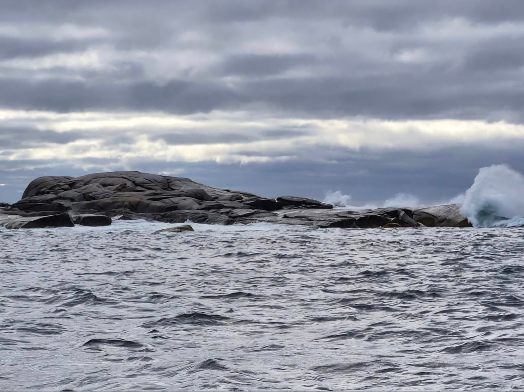 Peggy's Cove Boat Tours-Peggy's Cove必去景点