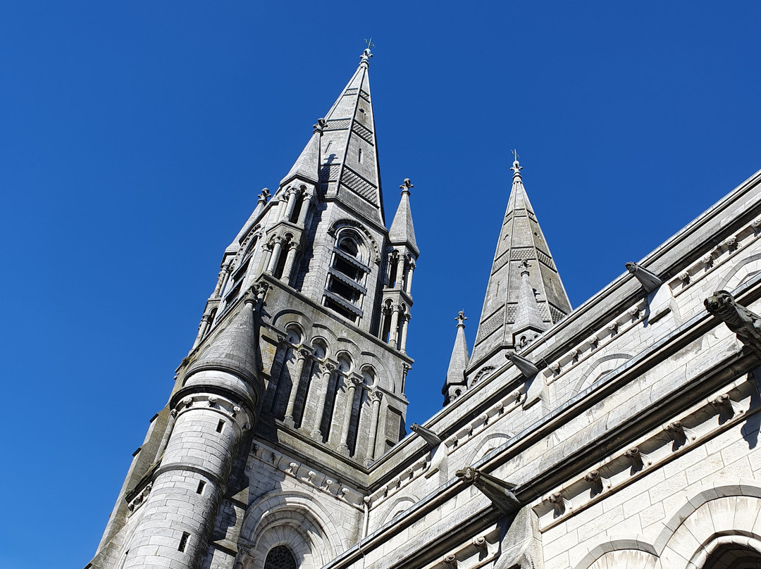 St Fin Barre's Cathedral-科克必去景点