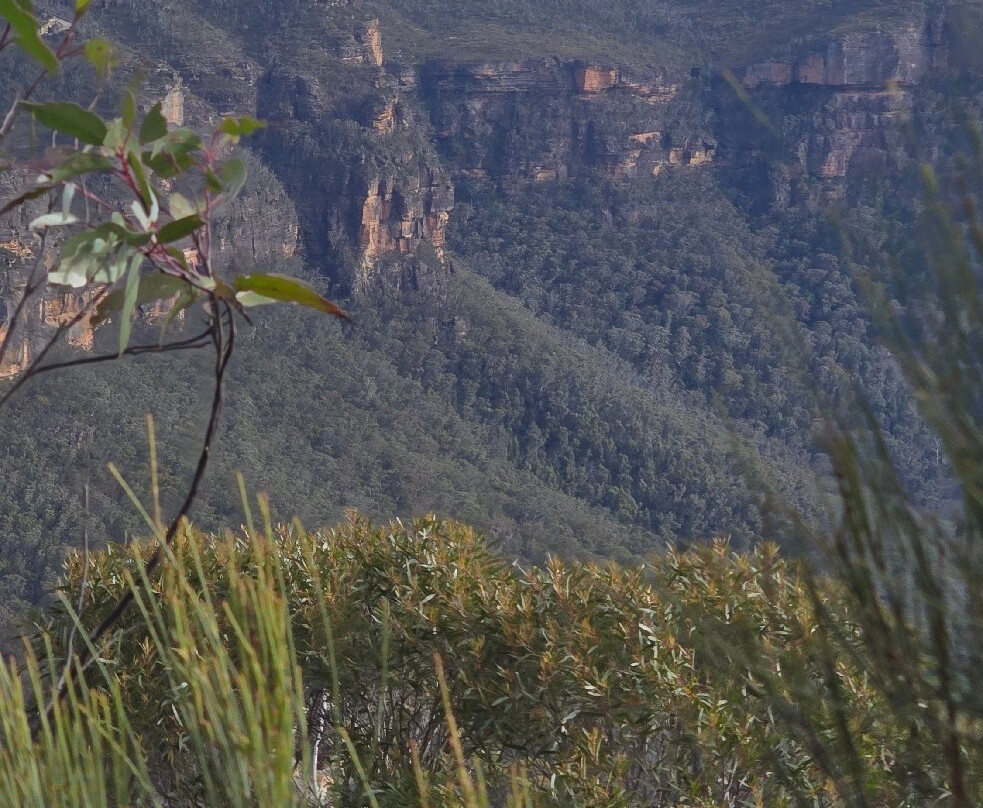 Cahill's Lookout-卡通巴必去景点