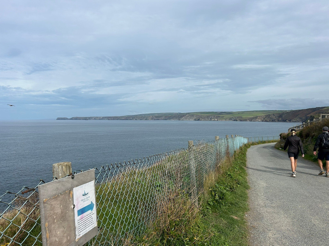 Harbour, Port Isaac-Port Isaac必去景点
