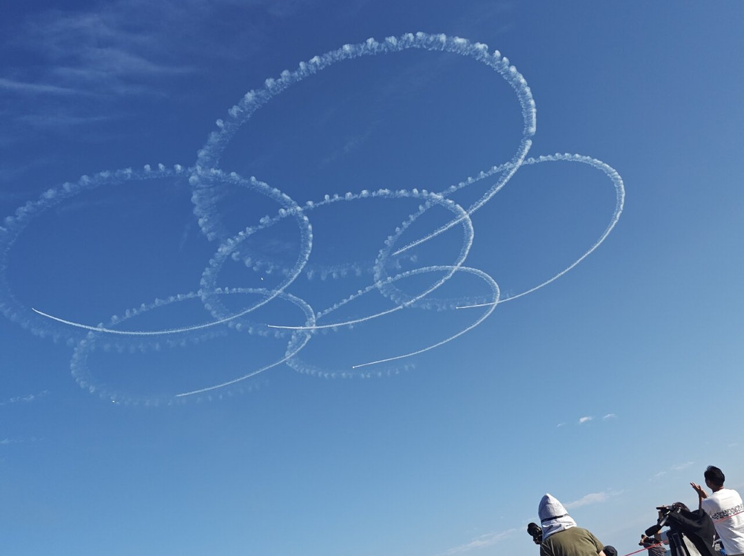 Oarai Sea Fireworks-大洗町必去景点