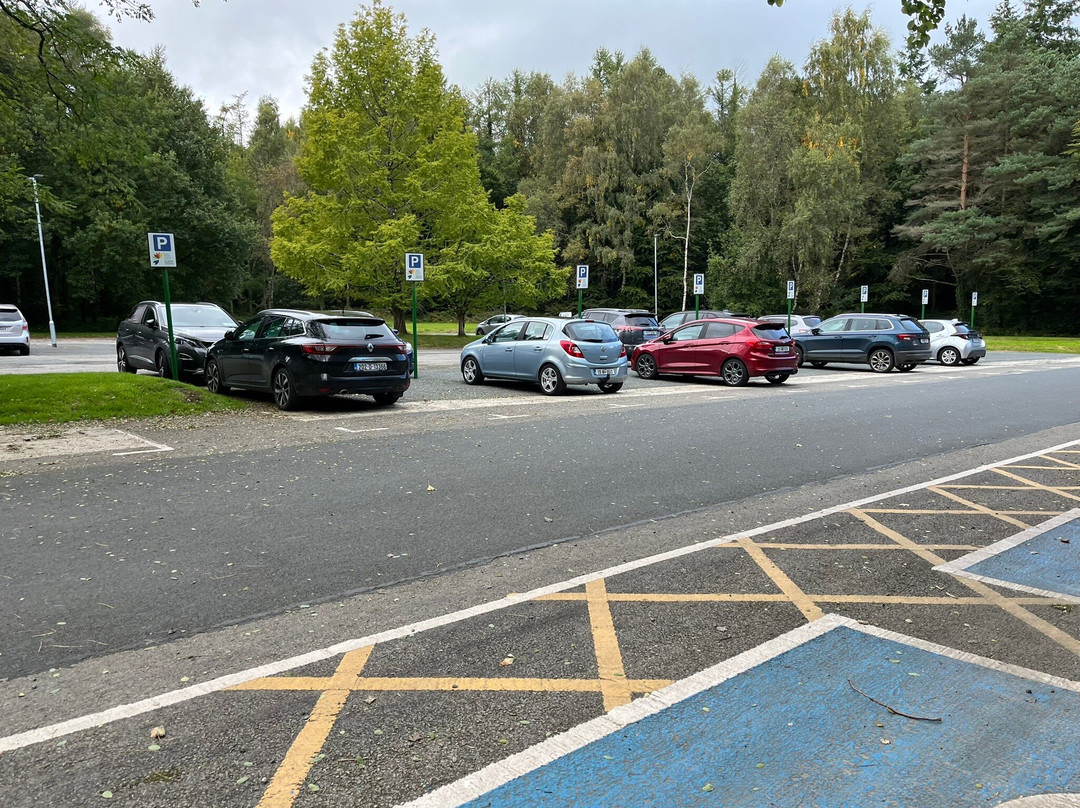 Avondale House & Forest Park-County Wicklow必去景点