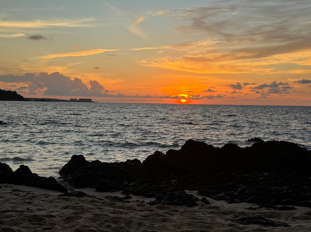 Piranha Divers Okinawa-恩纳村必去景点