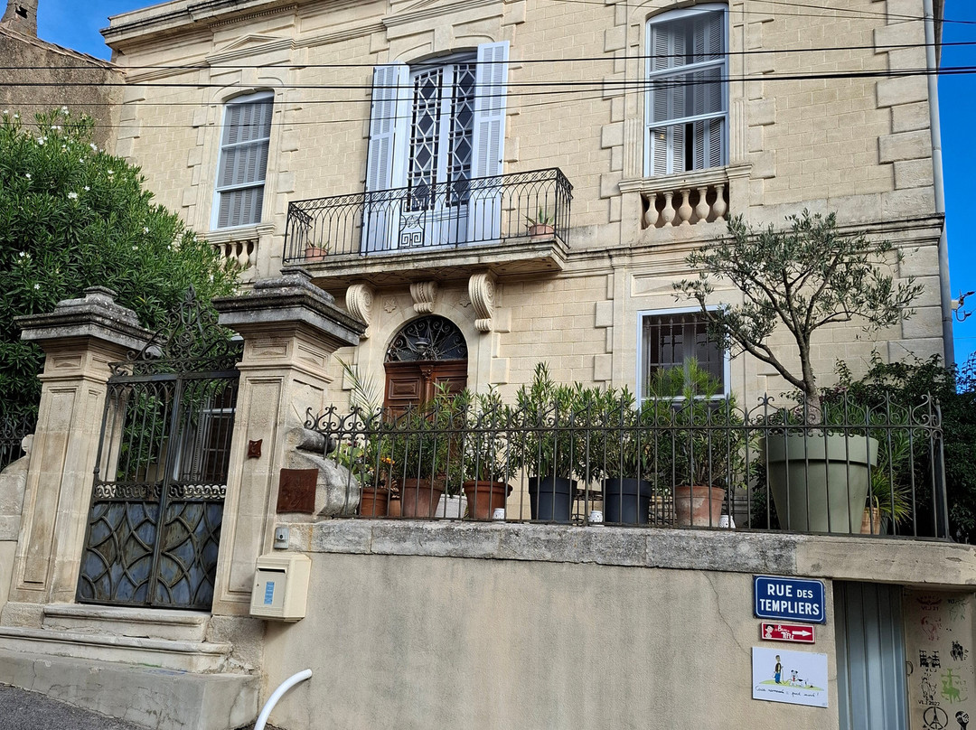 Couleurs De Camargue主图