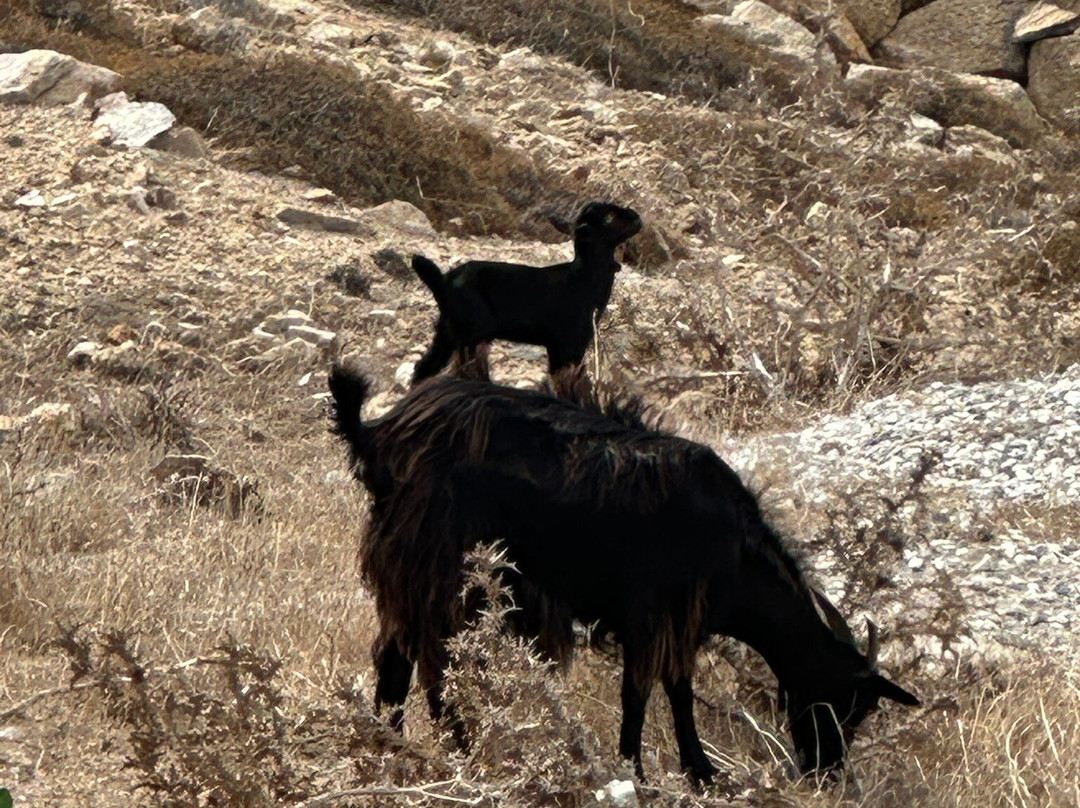 Armenistis Lighthouse-Faros Armenistis必去景点
