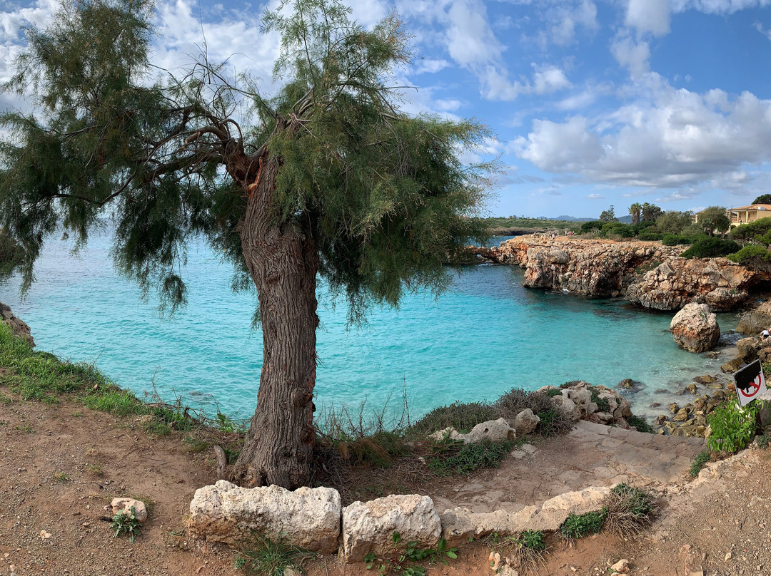 Cala Morlanda-S'illot必去景点