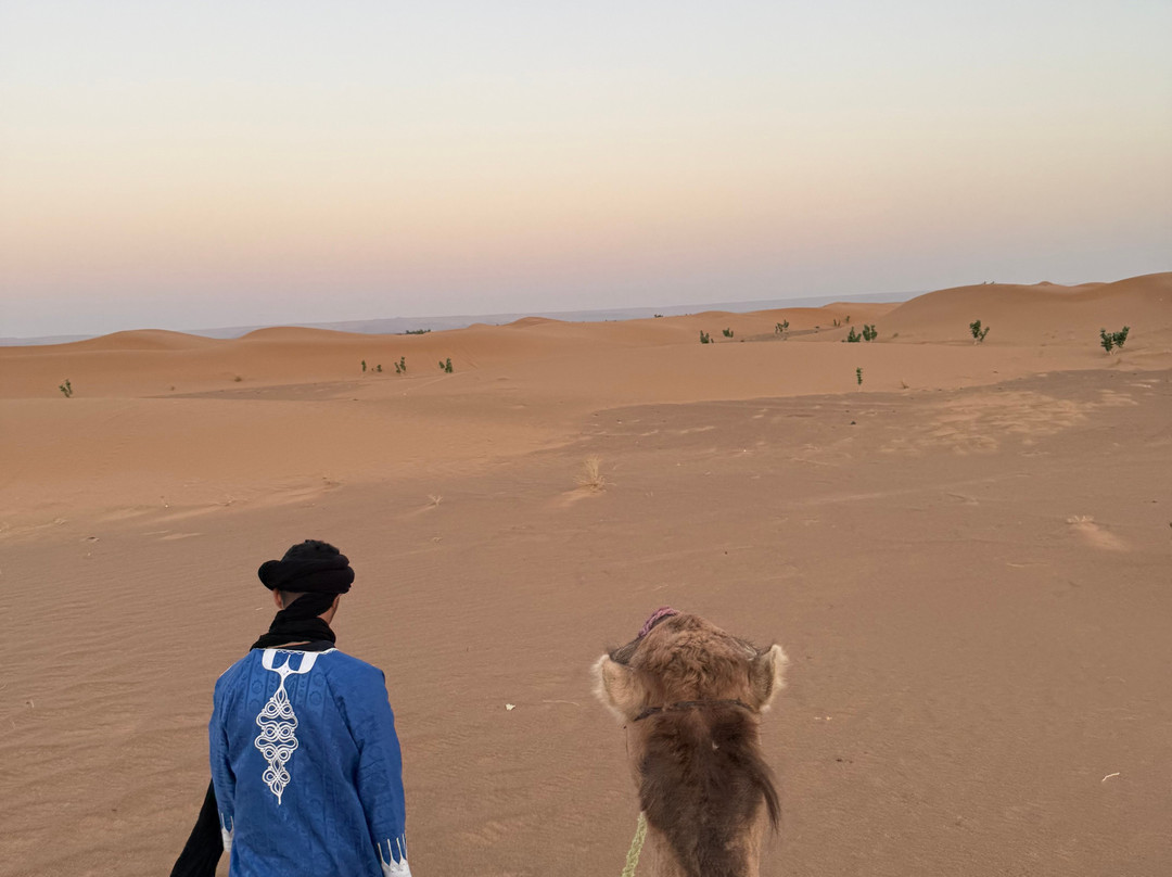 Desert Life Tours-非斯必去景点