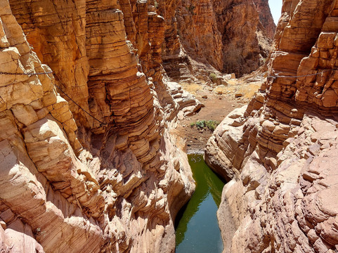Wild Cherry Adventures-温德和克必去景点
