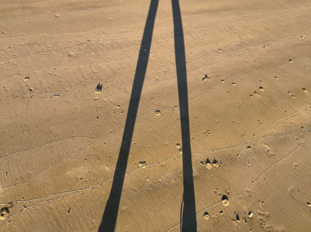 Stewarts Bay-亚瑟港必去景点