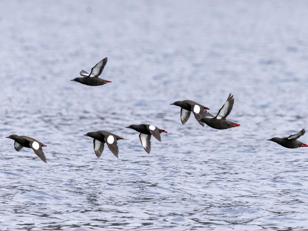 Sisimiut Museum-Sisimiut必去景点
