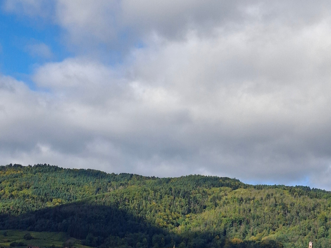 奥雷斯林酒店主图