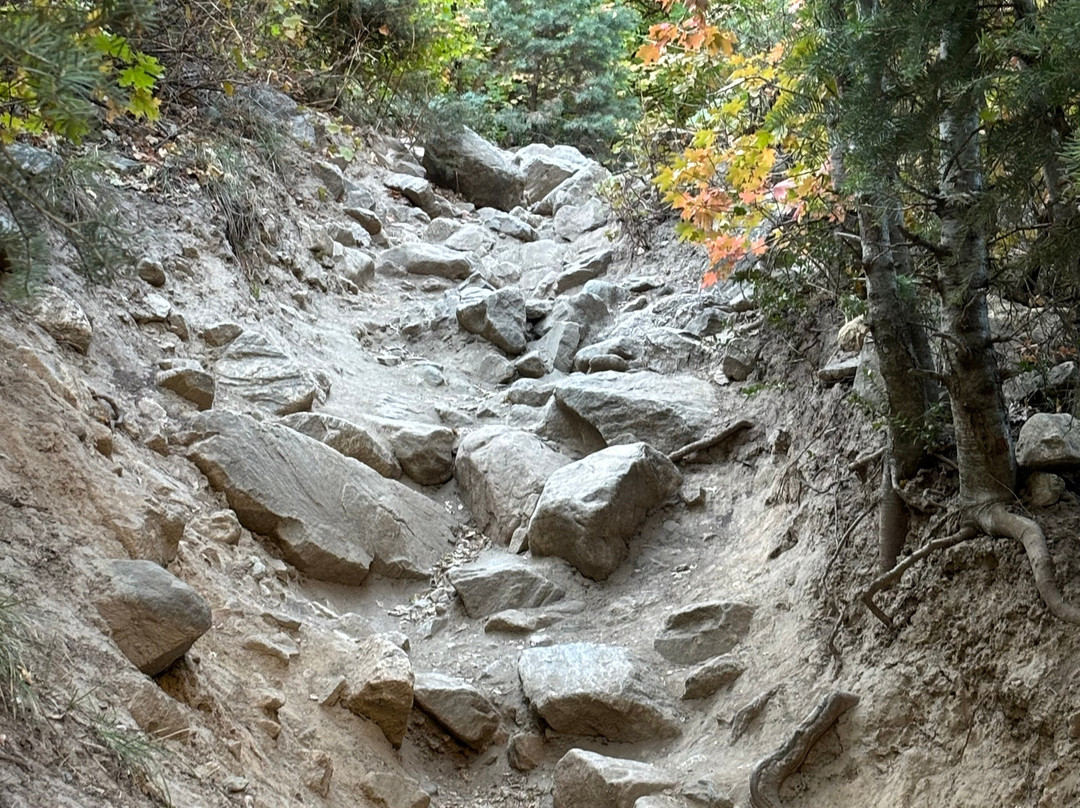 Adams Canyon Trail-莱顿必去景点