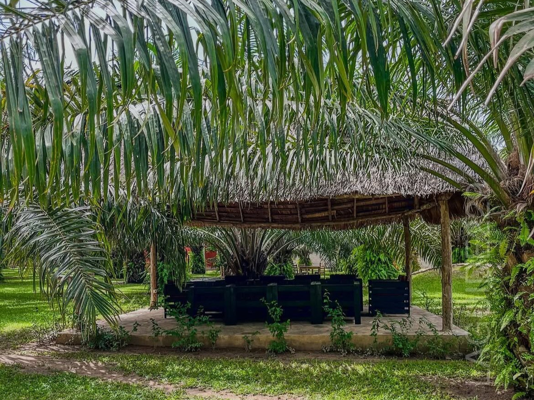 La Ferme Amba Yard