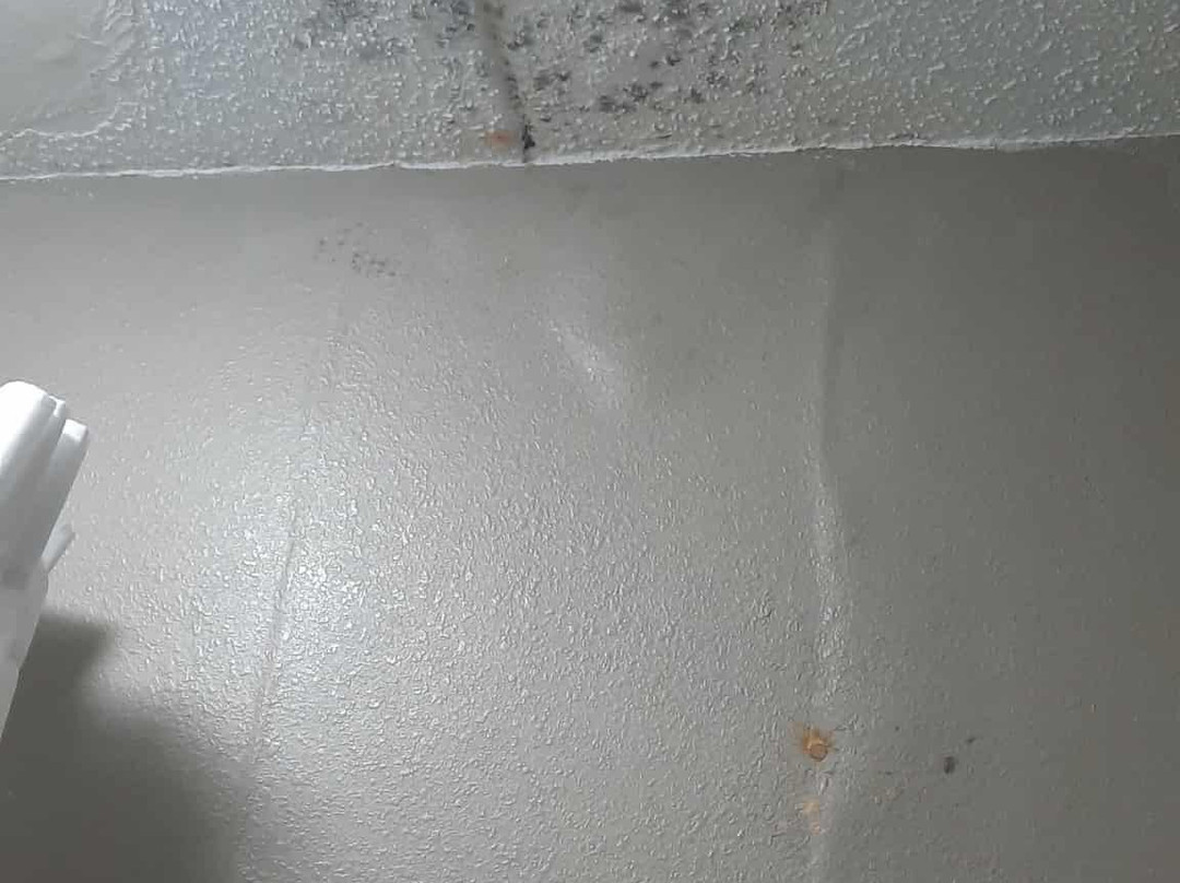 Red Roof Inn Parsippany主图