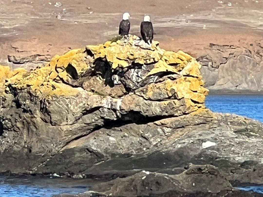 Deer Harbor Charters-Deer Harbor必去景点