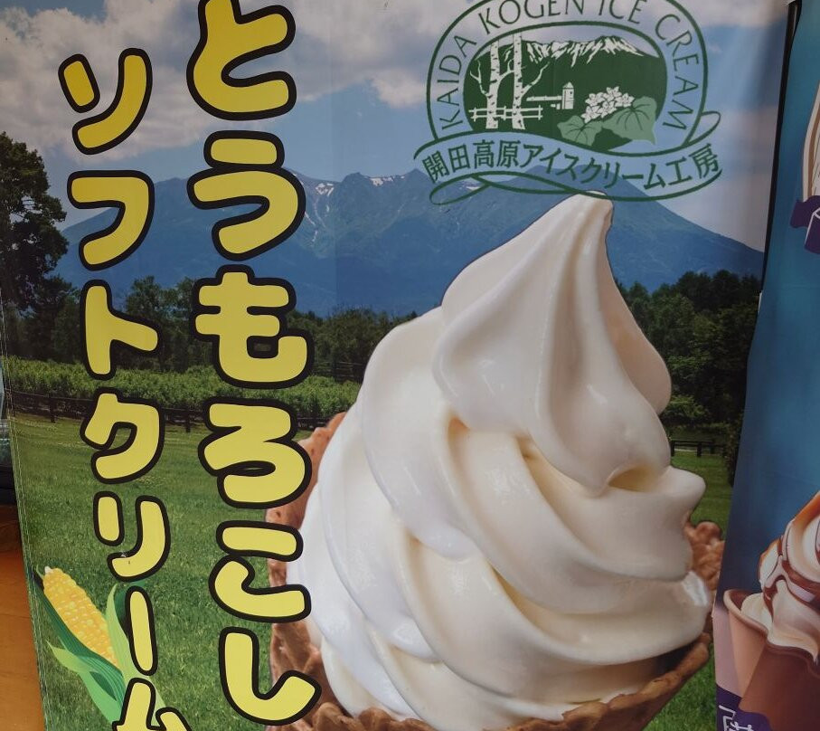 Michi no Eki Hiyoshi Kisokomakogen Sasarindokan-木曾町必去景点