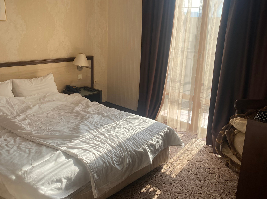 Hotel Premier Veliko Tarnovo主图