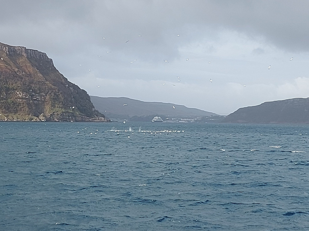 Stardust Boat Trips Portree-Portree必去景点