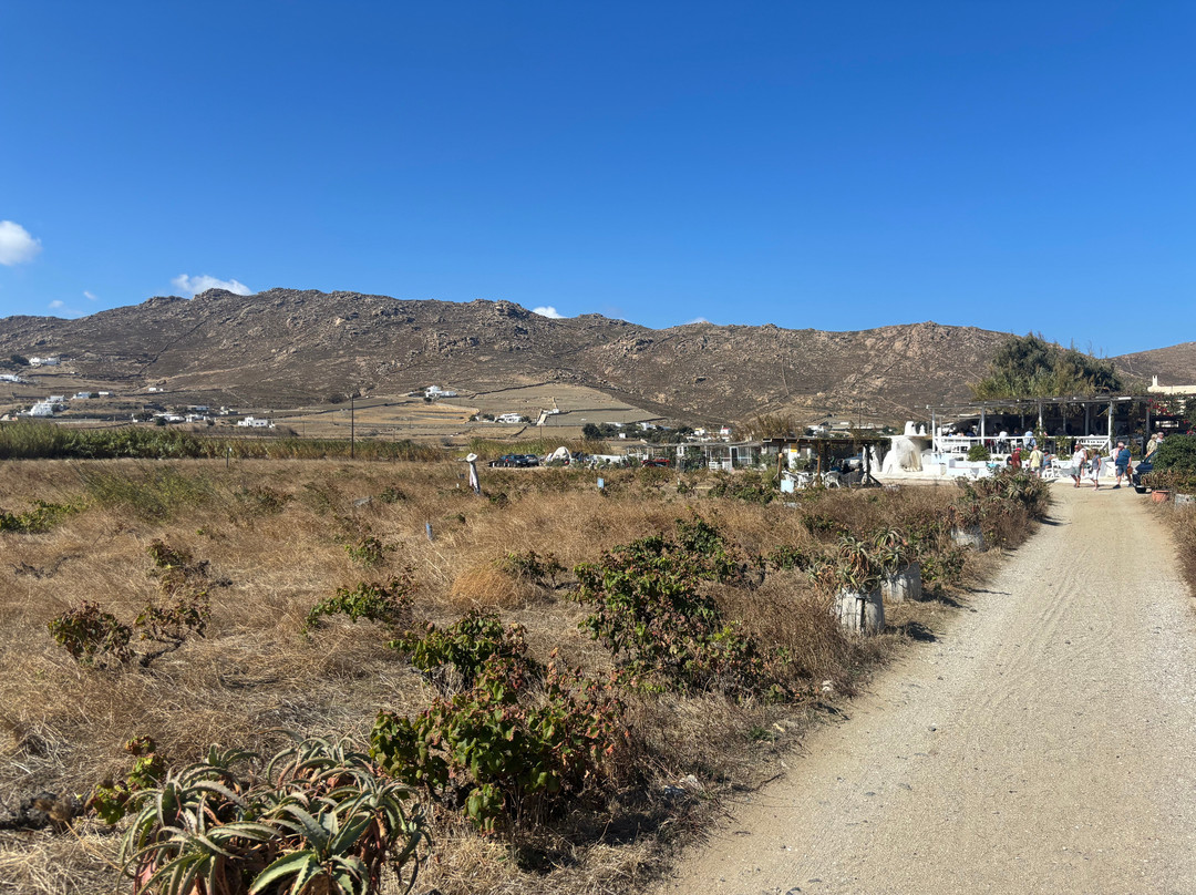 Mykonos Vioma Organic Farm-阿诺梅拉村必去景点