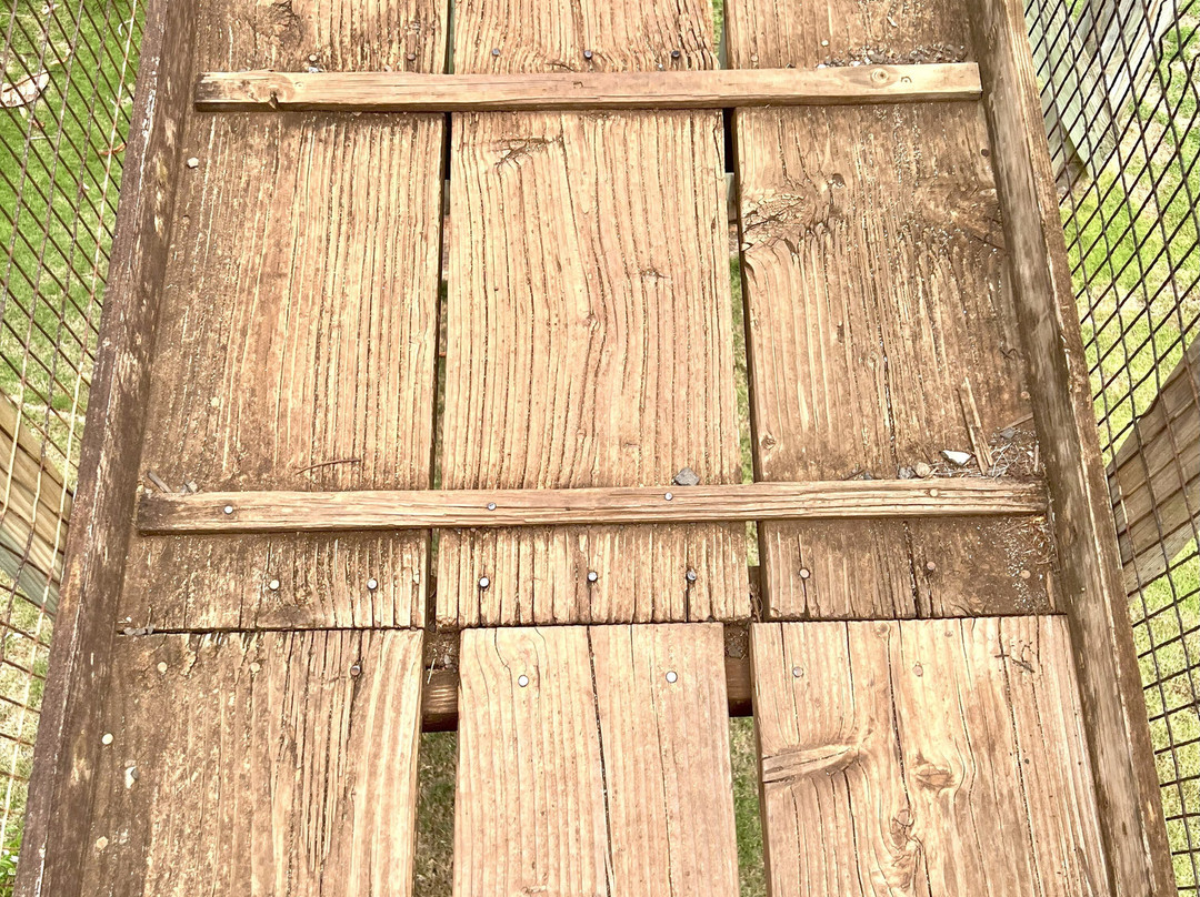 摇摇桥-哈纳佩佩必去景点