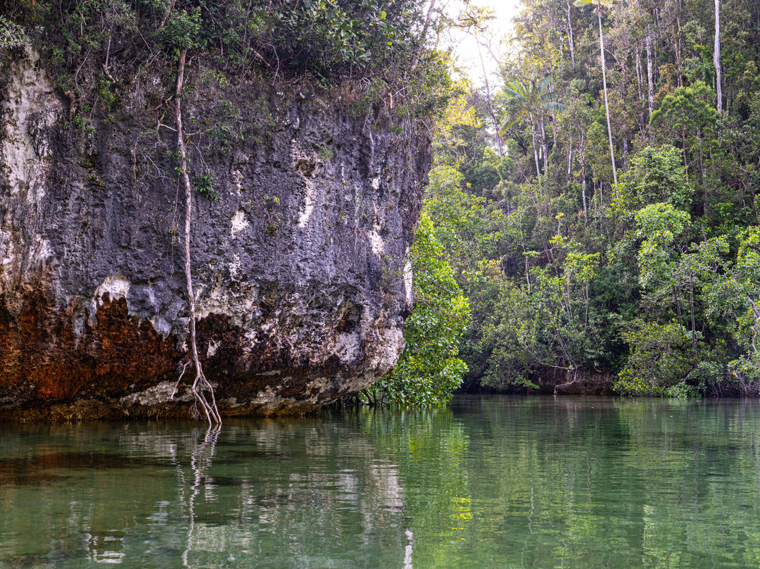 Cruising Raja Ampat - Wisesa Liveaboard-索龙必去景点