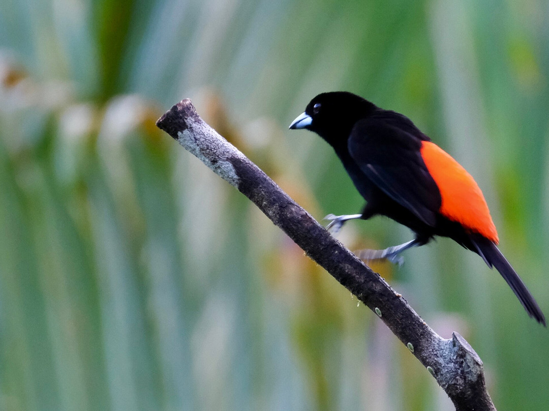 0S3 Private Tours-哈科必去景点