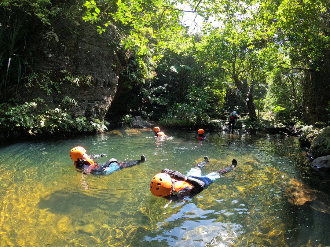 Motti Iriomote Island Trekking Eco Tour-竹富町西表岛必去景点