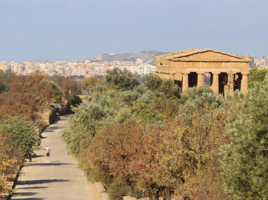 Valley of the Temples-阿格里真托必去景点