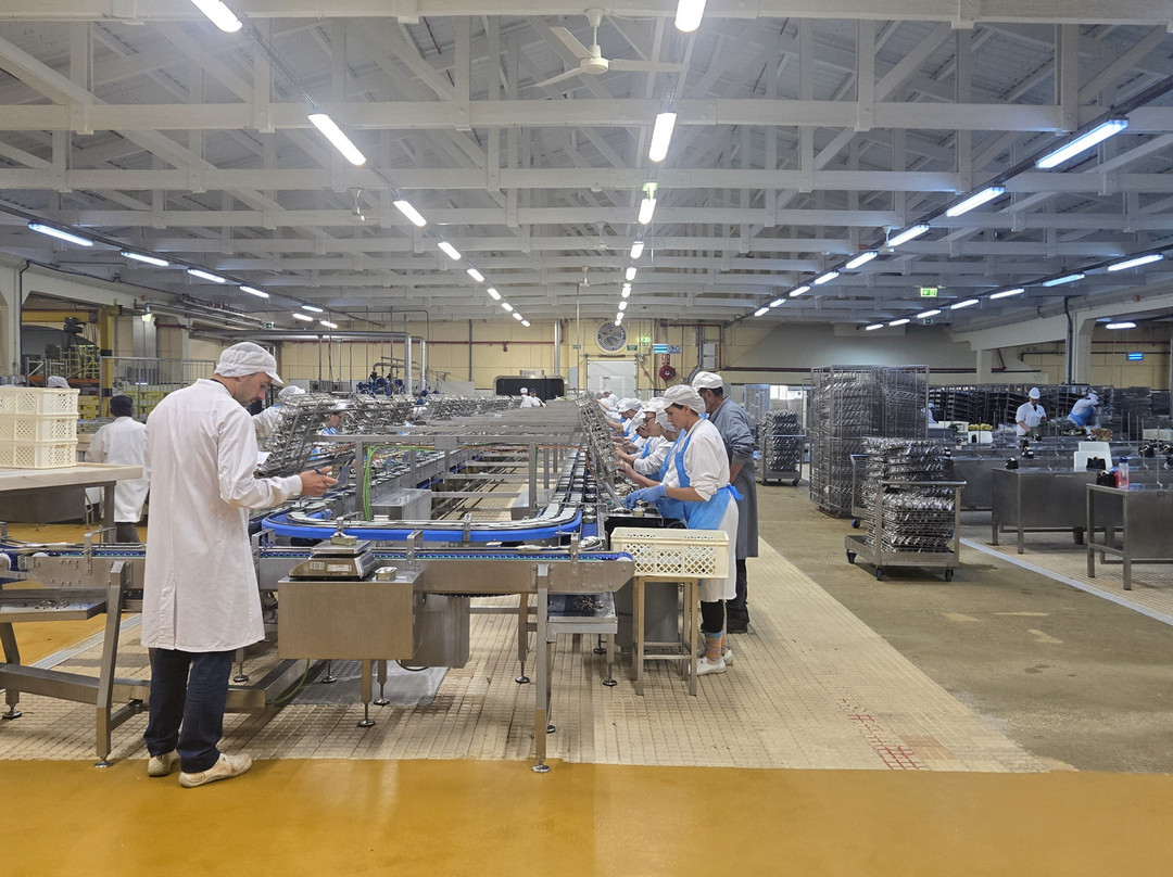 Conservas Pinhais - Factory Tour-马托西纽什必去景点