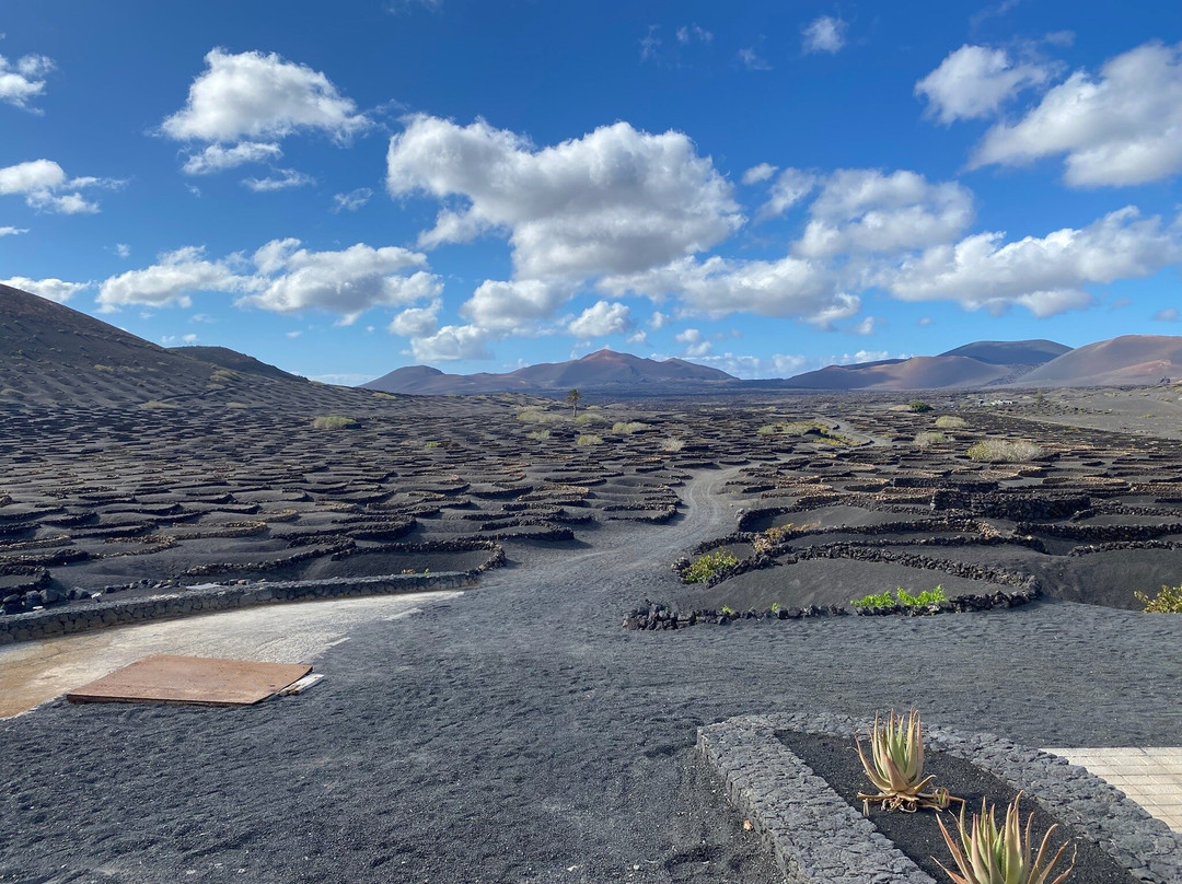 Wine Tours Lanzarote-卡门港必去景点
