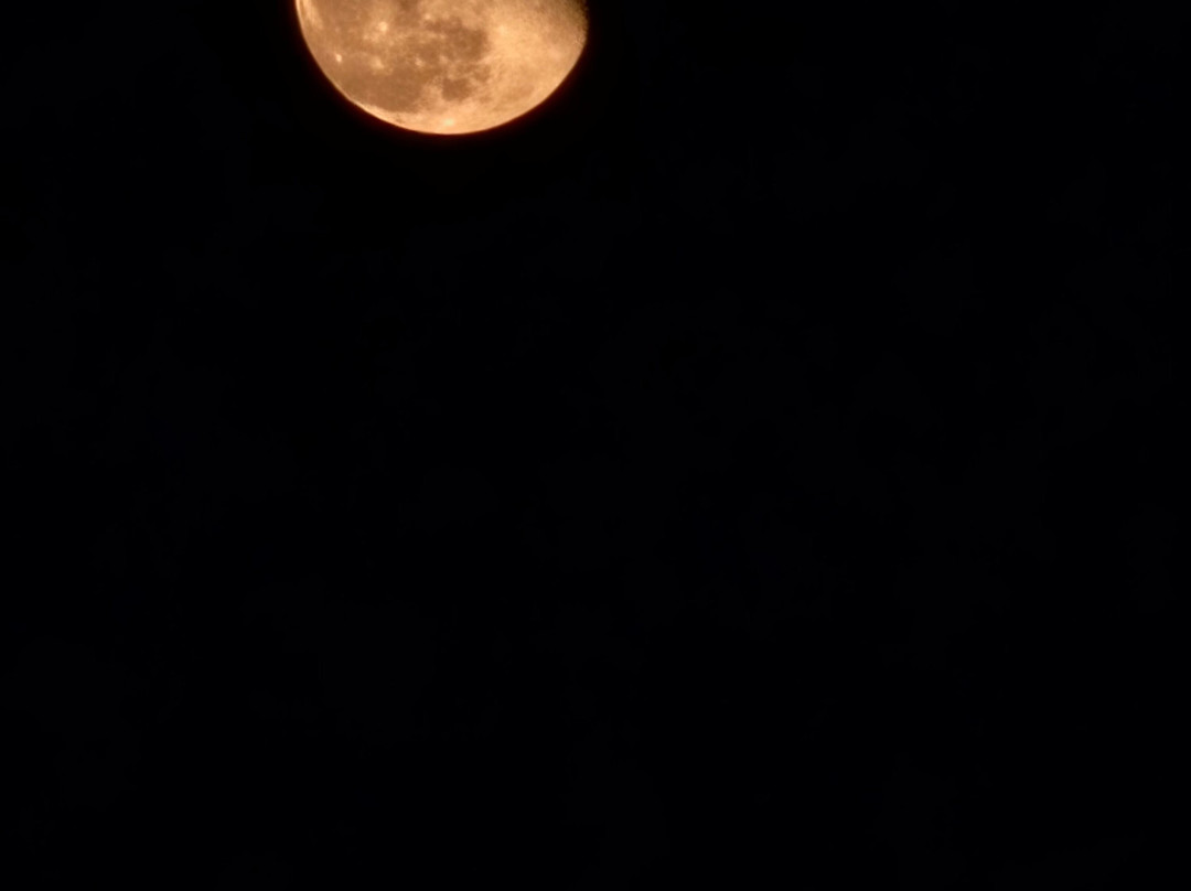 WelcomeToSocotra-索科特拉岛必去景点