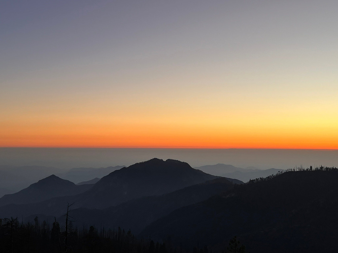 Sequoia Parks Conservancy