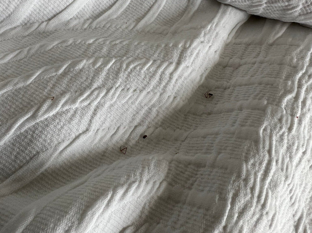 安大略卡尔森乡村套房酒店主图