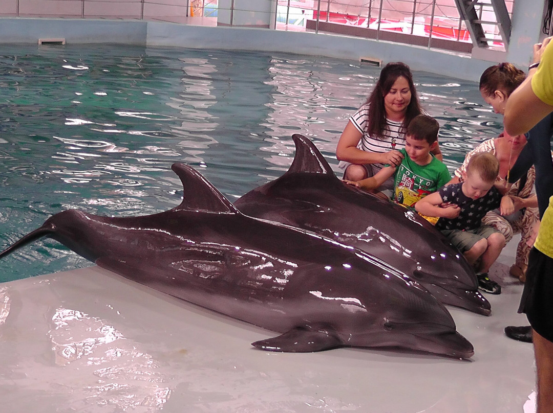 Dolphinarium Lazarevskiy-Lazarevskoye必去景点