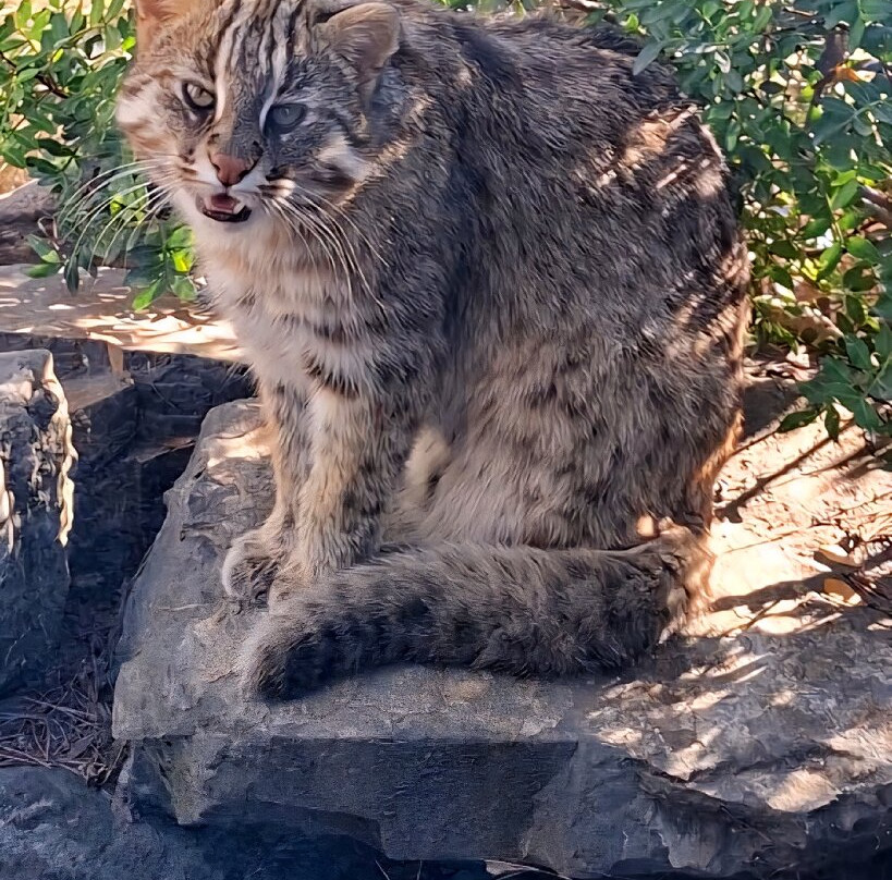EcoZonia - Parc Animalier-Cases de Pene必去景点