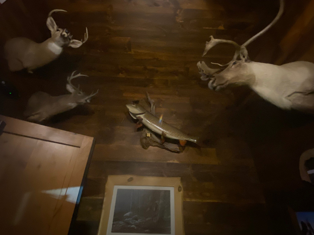 Gooch's A-1 Bar & Grill