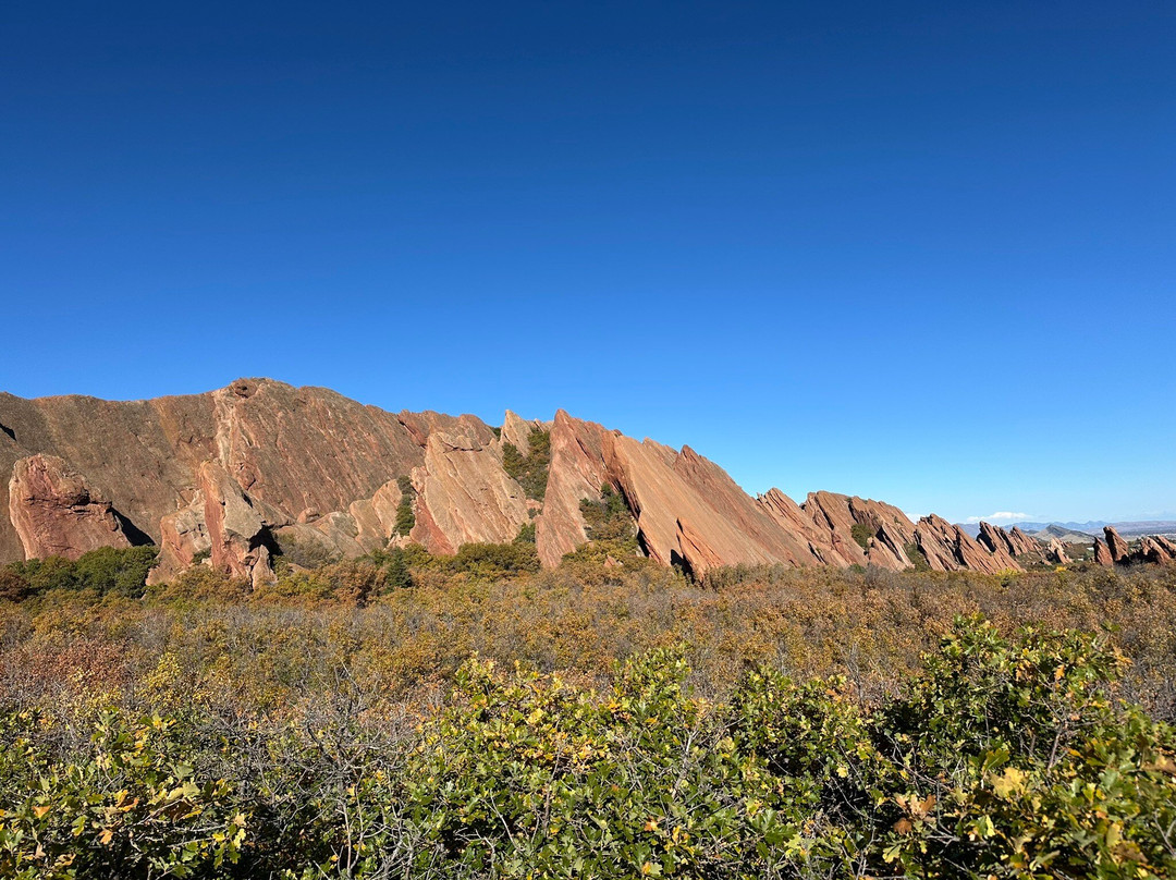 罗克斯伯勒州立公园-利特尔顿必去景点