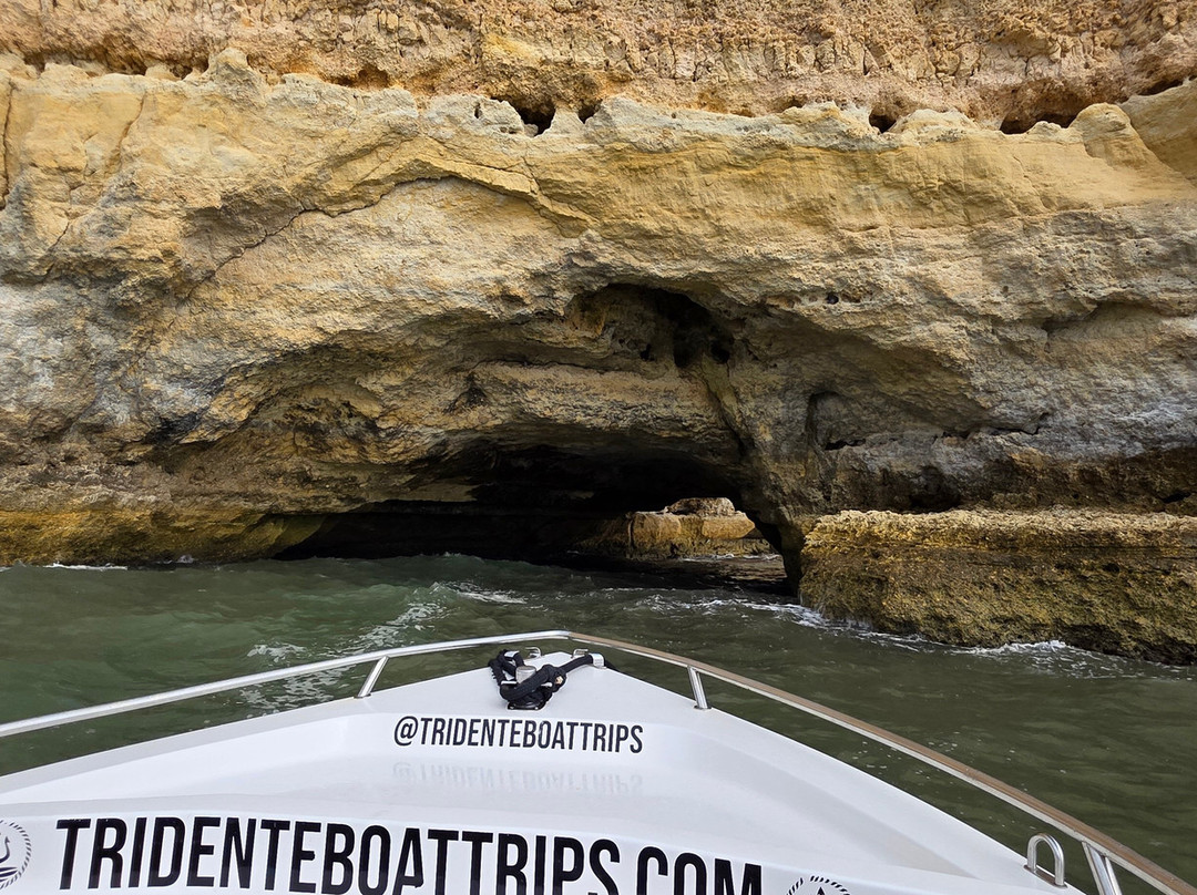 Tridente Boat Trips-阿玛考德佩拉必去景点