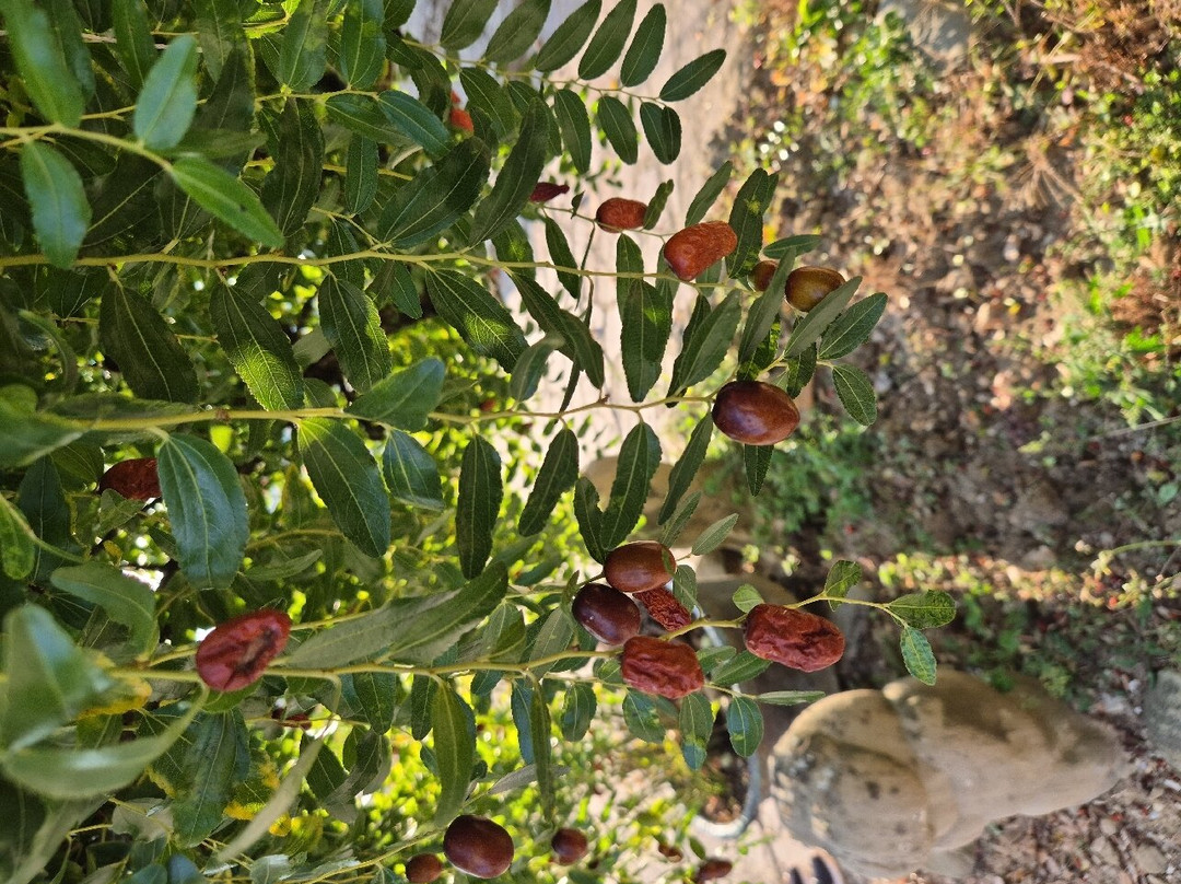 钢琴农庄酒店主图