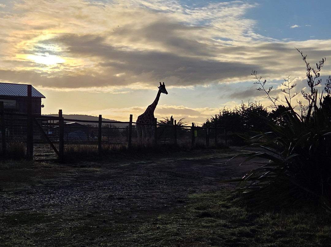 B Bryan Preserve-Point Arena必去景点