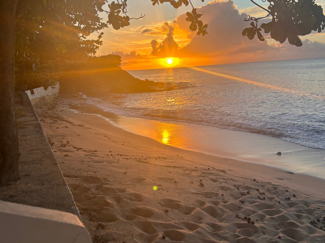 Hawksbill Bay-安提瓜必去景点
