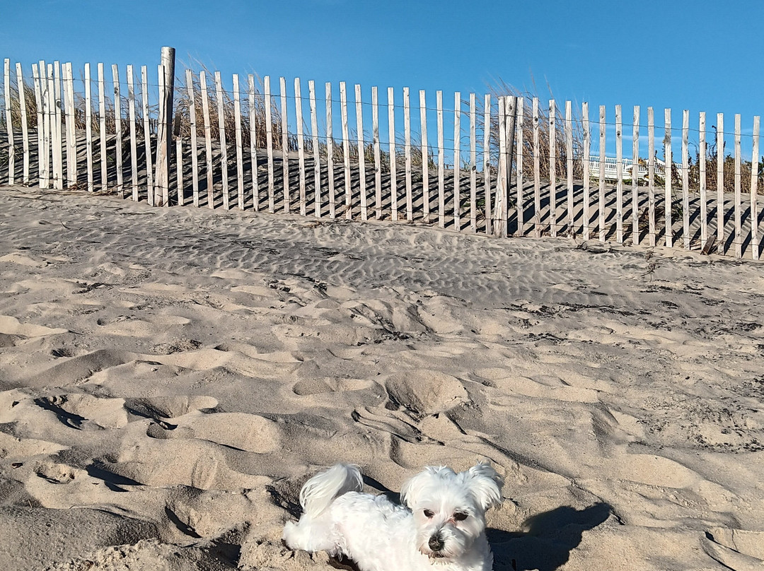 Hotel Bethany Beach主图